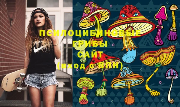 ешки Осташков