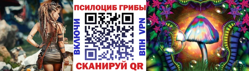 Галлюциногенные грибы Cubensis  дарк нет Telegram  ОМГ ОМГ зеркало  Перевоз  закладки 